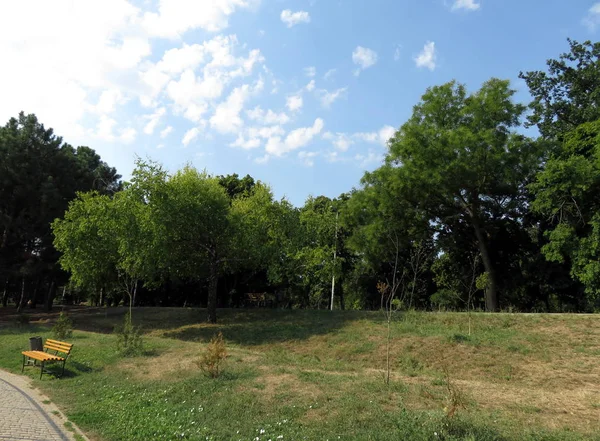 Environment Park Area Path Bench — Stock Photo, Image