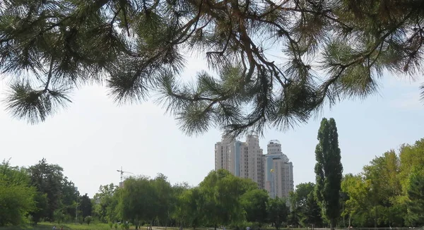 Bellissimo Edificio Sullo Sfondo Rami Pino Altri Alberi — Foto Stock