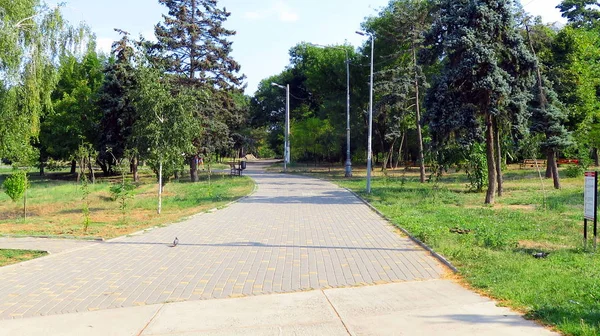 Strada Nel Parco Cittadino — Foto Stock