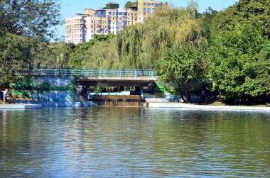 Şehir Parkı köprü