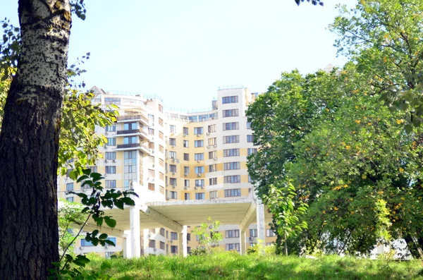 Old Poplar Background New Buildings Park Odessa 2018 — Stock Photo, Image