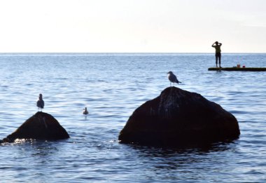 şafak Karadeniz yakınındaki izle