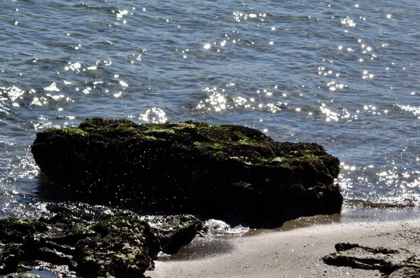 海の波や秋の海の砂浜の海岸の石 — ストック写真