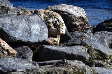 Granit taşlar karadeniz hakkında