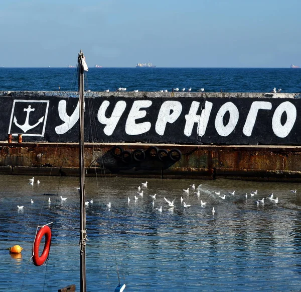 Vue Baie Mer Noire — Photo