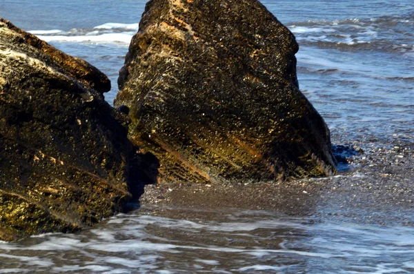 海砂や黒海を大切にするシェル美しい多孔質石 — ストック写真