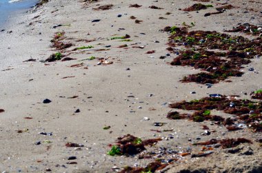 Açık havada bir fırtınada sonra kumlu sahili