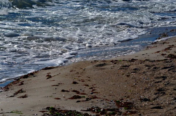 Солона Хвиля Піщаному Пляжі — стокове фото