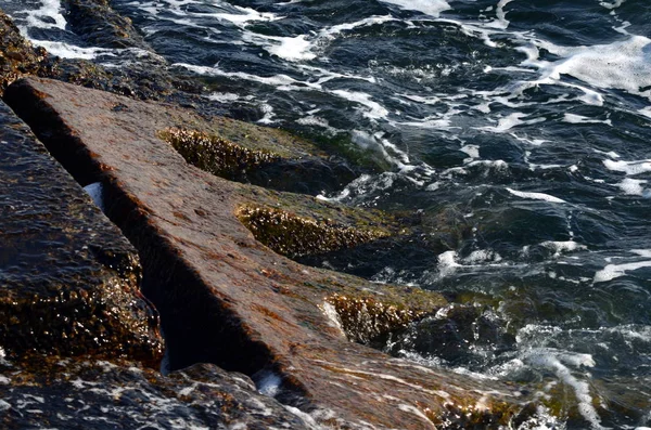 Schöne Nasse Betonplatten Den Meereswellen — Stockfoto