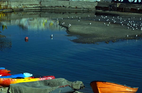 Odessa Ukraine 2018 Échoué Dans Ancienne Baie Près Mer Noire — Photo