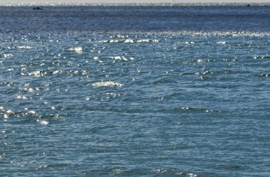 deniz manzaralı günün başında