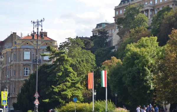 Budapest Hongarije 2019 Oostenrijkse Hongaarse Vlaggen Tegen Achtergrond Van Bomen — Stockfoto