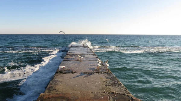 Weißer Schaum Des Kalten Meeres Und Möwen Der Seebrücke Bei — Stockfoto