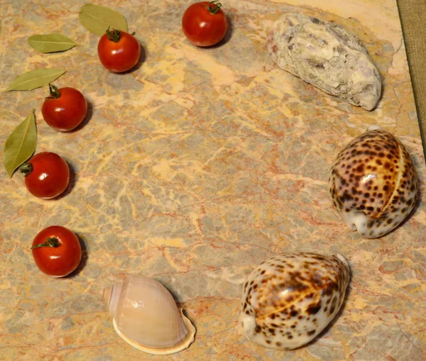 Овощи Ракушки Яйцо Мраморной Поверхности Помидоры Черри Лавровые Листья Устрицы — стоковое фото