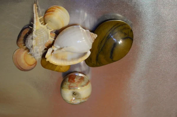 Top View Composition Beautiful Ocean Shells Sea Stones Marble Apple — Stock Photo, Image