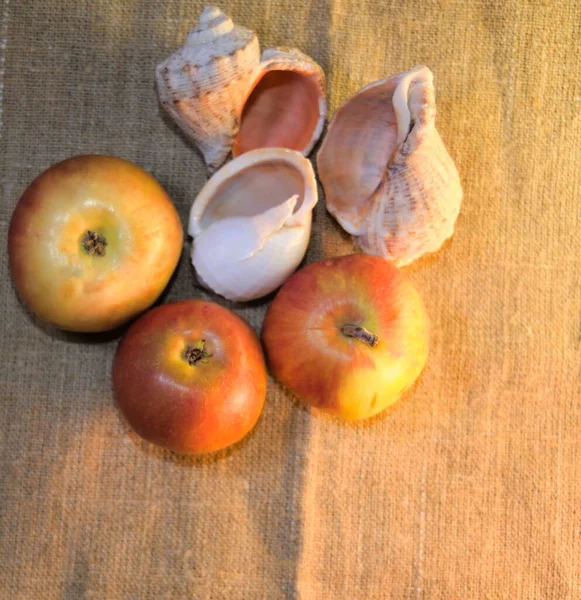 Σύνθεση Μήλων Και Κελυφών Της Θάλασσας Φόντο Ακατέργαστου Υφάσματος Όψη — Φωτογραφία Αρχείου