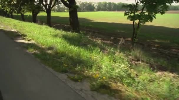 Sommerzeit in der ländlichen Landschaft — Stockvideo