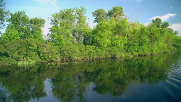 Öppet vatten på landsbygden — Stockvideo