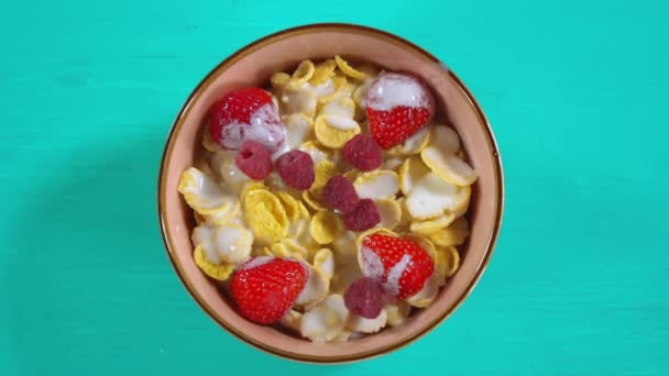Добавление в миску красной ягоды — стоковое видео
