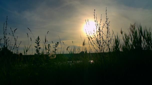 Charmiga solnedgång på landsbygden — Stockvideo
