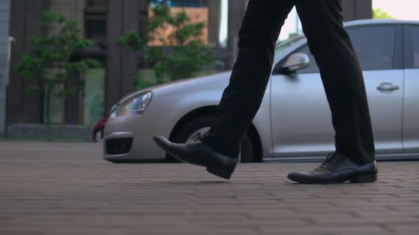 Close up male legs in black shoes — Stock Video