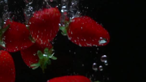 Macro shot de pequeños frutos sumergirse en el agua — Vídeos de Stock