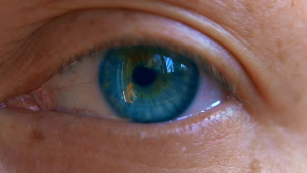 Macro-opname van een oog — Stockvideo