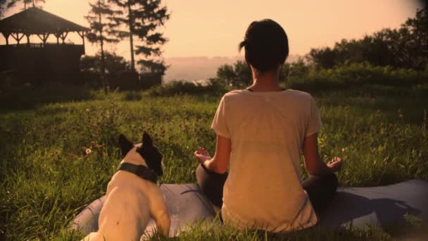 Woman sits on the ground with her pet — Stock Video