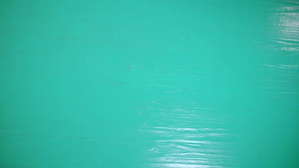 Üstten Görünüm Iştah Açıcı Meyveler Siyah Kapta Sulu Çok Renkli — Stok video