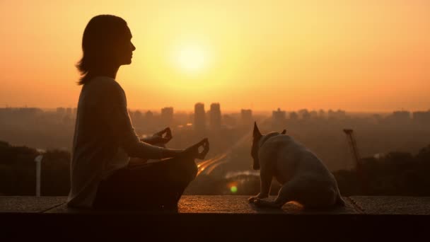 Une femme médite assise avec son animal de compagnie sur une élévation — Video