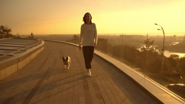 Uma mulher passeia o seu cão — Vídeo de Stock