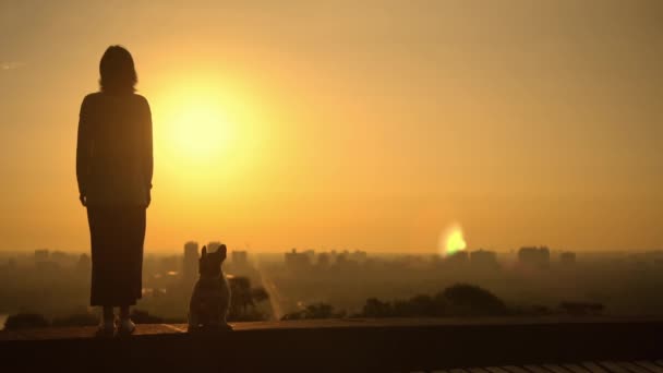 Uma mulher abraça o sol — Vídeo de Stock