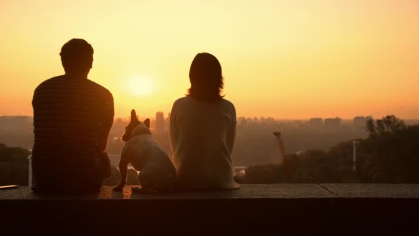 Couple sits on the fence with the dog — Stock Video