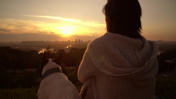 Mädchen entspannt mit ihrem Haustier — Stockvideo