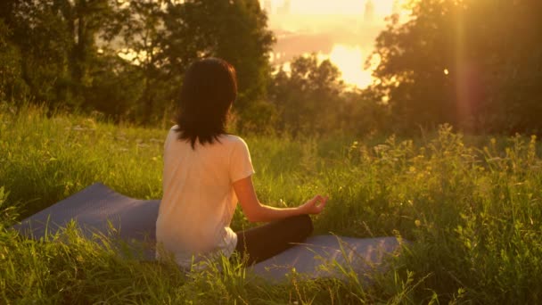 Rückansicht Einer Dame Die Die Landschaft Genießt Weibchen Trainiert Morgens — Stockvideo