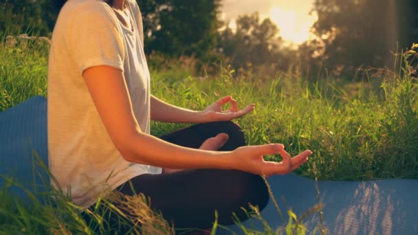 Faceless female sitting in the meadow — Stock Video