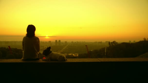 Une femme et son chien regardent le lever du soleil — Video