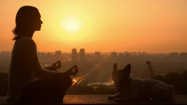 Йога с собакой на открытом воздухе — стоковое видео