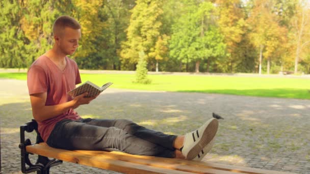 Mann las einen Roman im Freien — Stockvideo