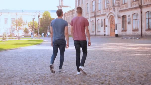 Bakifrån vänner promenader i staden slow motion — Stockvideo