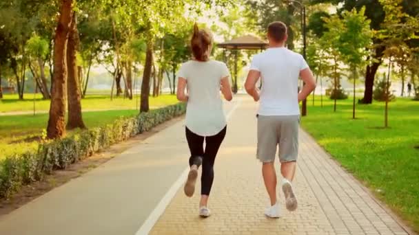 Back view young couple jogging in the park — Stock Video