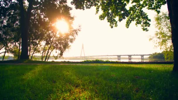 Løberen løber i byen tidligt om morgenen – Stock-video