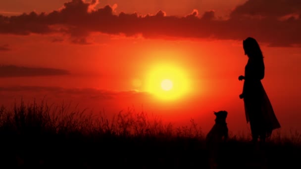 Hembra con mascota al aire libre — Vídeos de Stock