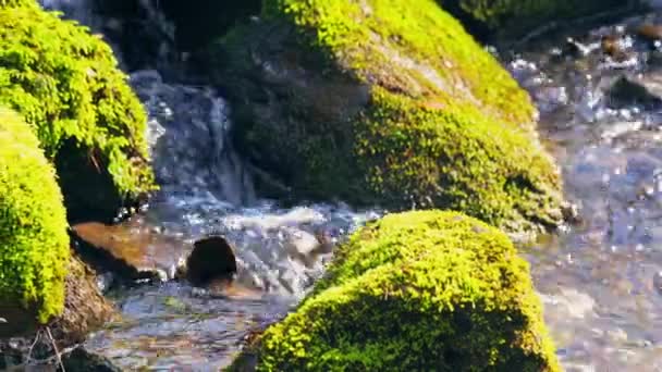 Detalles cascada con rayos de sol — Vídeos de Stock