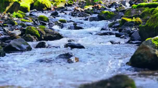 Arroyo azul en la zona de montañas — Vídeos de Stock