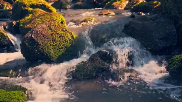 Λεπτομέρειες creek στο βουνό — Αρχείο Βίντεο