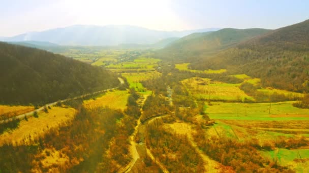 Drone voa acima da paisagem com floresta — Vídeo de Stock