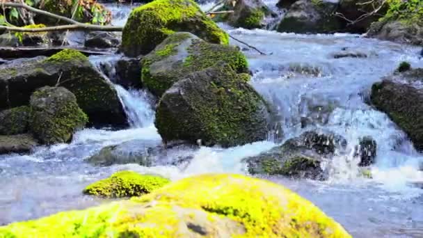 Un torrente movimento panning — Video Stock