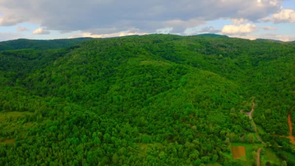 Vista aérea sobre pinheiros em terras altas — Vídeo de Stock