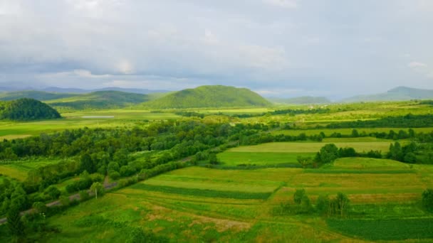 Vista aérea paisaje rural en verano — Vídeo de stock